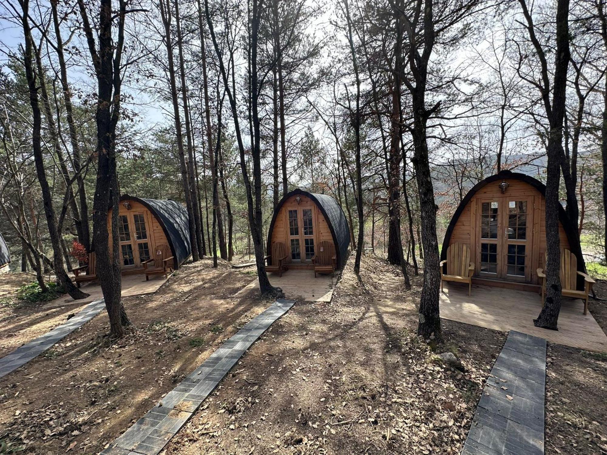 Camping Ripolles ภายนอก รูปภาพ